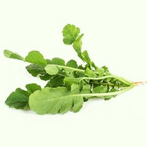 ☆로코스마트☆locosma_열무 얼갈이 야채 채소 식물 씨 종자 씨앗 20g 열무씨앗 채소씨앗 종자 시열무씨 모종_좋아요또만나요good^^b, 좋아요이상품!!