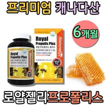 식약처인증 캐나다 로얄젤리 프로폴리스 플라보노이드 항산화 영양제 로열젤리 폴리폴리스 먹는법 캡슐 플라노보이드 로열제리 Royaljelly 플로폴리스 키즈 아이 어린이 PROPOLIS