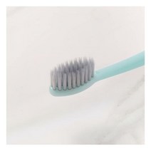올커니 숨쉬는칫솔 로얄 6.5 (6개입), 6개