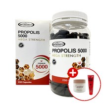 마더네스트 호주 프로폴리스 5000 250캡슐X2개 목 에좋은영양제 포로폴리스 항산화건강 솔루션, 단품, 단품