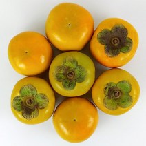 [KT알파쇼핑][더조은] 달콤한 단감 3kg (대 12-15과)