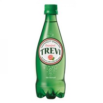 롯데 트레비 자몽 500ml 20페트식음료 기타 미등록 롯데 트레비 자몽 500ml 20페트 업소용음료 캔 음료수 도매 음료 도매 음료수 도매 캔음료 커피믹스 음료수, 본상품