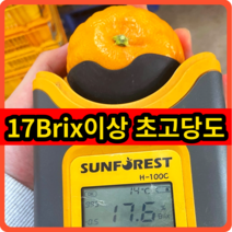 수라향 신비향 설국향 초고당도 17브릭스 제주직송, 5kg