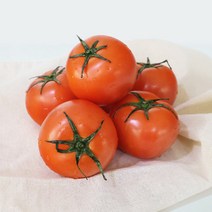 [하누리팜] 무농약 완숙 토마토 1kg