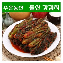 가락시장 업소용 가정용 김치전문점 주은농산 톡쏘는 맛이 일품인 돌산갓김치 (무료배송 국내제조) 2kg, 갓김치 2kg+종이박스 포장