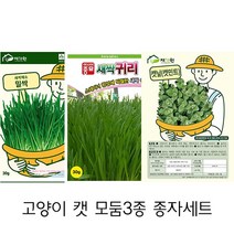 허브씨앗 고양이 캣 모둠3종 세트 (밀 귀리 캣닢)