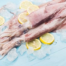 손질통오징어 자연산 손질 통오징어 22미, 단일옵션