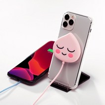 카카오 무선충전기 흡착형 무선충전패드 어피치, 1개, 라이언