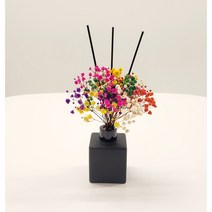 퐁텐느 레인보우 안개꽃 디퓨저+향150ml, 자몽