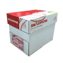 포레스트 스펙트라 색지 A4 80g 복사용지 1BOX 2500매 for-Rest 92253, 쿠팡 A4 초록