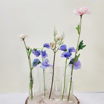 이케바나시험관화병(투명)