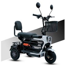 3륜전기자전거 350w 3 륜 전기 자전거 10 인치 접이식 탄소강 프레임 부모와 자녀가 함께 타는, black white+10ah battery, 06 30ah battery