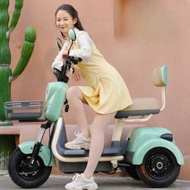 전기삼륜오토바이 노인 세바퀴 배달용 전기 전동 삼발이 세발 삼토바이, 그린 60V