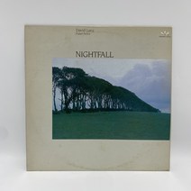 DAVID LANZ NIGHTFALL LP / 엘피 / 음반 / 레코드 / 레트로 / AA5721