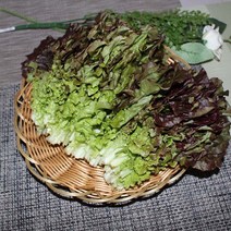 적상추 2kg1박스 자연대로팜웨이, 적상추2kg