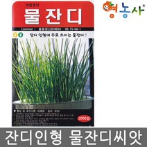 물잔디씨앗 2000립
