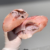 손질 열기생선 장문 볼락 말린 적어 빨간생선1kg, 5~6미 1kg