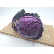 [특급] 적채 1통 적양배추