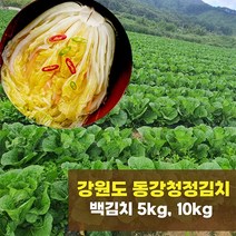 동강청정김치 강원도 영월 백김치 5kg/10kg, 10kg, 1개