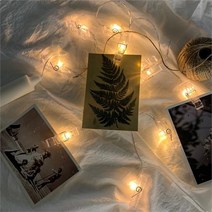 엠티글로벌 집게조명 홈데코 차박 캠핑조명 벽장식 사진걸이 3m (7705989)