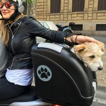 포우 버디라이더 반려견 강아지 자전거 오토바이 스쿠터 캐리어 카시트 겸용 4 in 1, 화이트