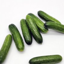 농사꾼아내 국내산 미니오이 300g/600g, 국내산 미니오이 300g, 1개