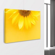 유홍아트 해바라기 사과 정물화 두꺼비집 가리개 캔버스액자 두께 4cm 24종, 04번