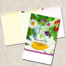 주보용지 3단 주보 교회 예배 주보인쇄 기성 디자인 칼라 청년부 주보 제작 기독교용품, EW-53