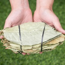 바나바잎 200g 한방재료 약초 한약제 한약재 한방차, 1BPC_바나바잎 200g