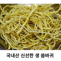 국내산 신선한 생 씀바귀 500g 국산 쌉쌀하고 향긋한 싱싱한 씀바귀 무침 지짐이 제철 약초 봄나물 당일수확, 생씀바귀 500g