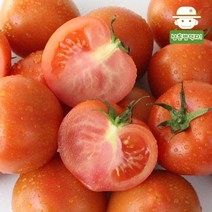 탱글탱글 국내산 완숙 토마토 2kg/5kg, 완숙 토마토 2kg