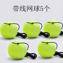 테니스볼 머신 머신 벽치기 테니스파트너기 수업 실내테니스연습장 코트공사 실내스포츠 레슨 강습 배우기, 리본 테 5개