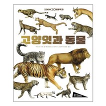 보림 고양잇과 동물 (마스크제공), 단품, 단품
