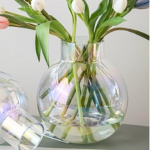 SKW 투명 유리 둥근 화병