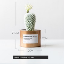 작은 화분 장식 모사 식물 다육 조화 거실 실내 테이블 장식 북유럽 그린 식 ins 풍 분경 선물, 골드주석+화이트스노우로터스