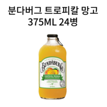 분다버그 진저비어 트로피칼망고 핑크자몽 레몬라임 375ml 12병 24병 36병 탄산음료, 트로피칼망고 375ML 20+4 개 (병)