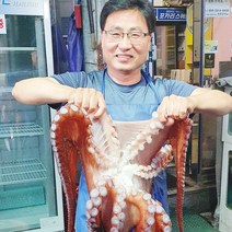 백두대간농수산 경북 영주 자숙 통 문어 1 2 3 kg 동해 참문어 선물용 제수용 안주짝다리, 1kg(선물0제수용)