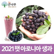 2022년 아로니아 냉동과 5kg, 단품