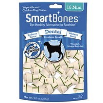 펫매트릭스 스마트본 미니 강아지 치석 구취제거 껌 16p, 덴탈, 1개