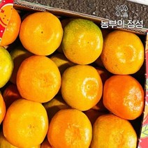 농부의정성 제주 하우스귤 선물용(로얄대과) 3kg, 단품
