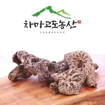 자연산버섯