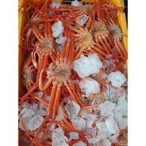 <후포리박달홍게> 수율85%이상 보장!! 고급형 3kg (6~10미) 49 900원!! 박달홍게자숙(찜)” class=”wr-img”></a></div></p></div></p></div></p></div><div class=