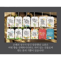 말씀향낭(12종) 방향제 가온천사, [라일락로얄]KH-003