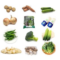직거래온라인야채도매 알뜰 구매하기