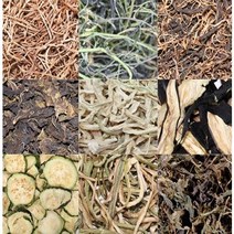 나물모음 건토란대 고구마줄기 묵나물 보름나물 미역취나물 아주까리 곰취 건유채 건방풍 깻잎순 곤드레나물 새취나물 건가지 호박고지 부지갱이 부지깽이 깻잎나물 고구마순 건나물 국내산나물, 어수리200g