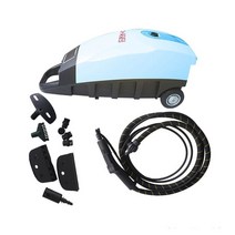 스팀세차기 220v 2800w 5.0bar 차 고열 증기 청소 기계 110℃ 건조한 amp 습식 조정 빠른 스팀 세차 도구, 없음