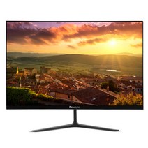 비트엠 Newsync B2410H IPS 제로 HDR 무결점 모니터