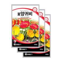 꽃 양귀비 씨앗 2000립 3봉 개양귀비 종자 노지월동 다년생 꽃씨 shirley poppy, 10봉