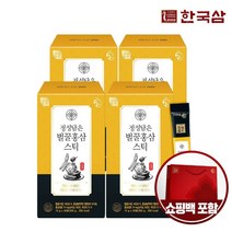 한국삼 정성담은 벌꿀 홍삼스틱 10g x 30포 x 4박스 (쇼핑백1매동봉), 1세트