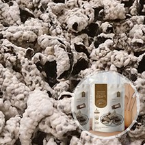 모을곳간 철원고향찹쌀 수제김부각 30g*5, 고추마요5봉